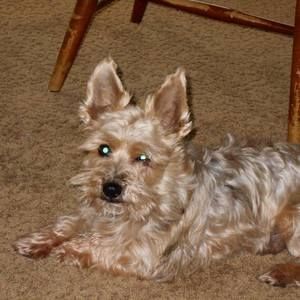 Meet your Posher, Karina